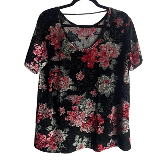 Mts Size S Black Short Sleeve Velvet Burn Out Blouse Top Dark Floral Whimsigoth - Picture 6 of 6